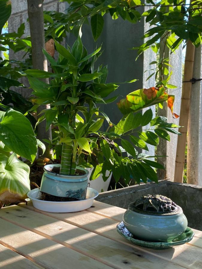 Laoxao Homestay Χόι Αν Εξωτερικό φωτογραφία