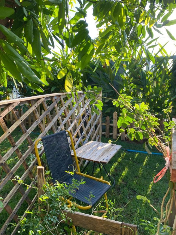 Laoxao Homestay Χόι Αν Εξωτερικό φωτογραφία