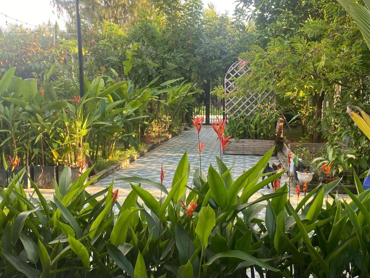 Laoxao Homestay Χόι Αν Εξωτερικό φωτογραφία